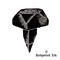 1081 Kirkpatrick Antique Door Stud