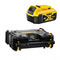 DeWalt DWST1-81079 TSTAK Radio & DCB184 5.0Ah Battery