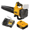 DeWalt DCMBL562P1 18V XR Brushless Axial Blower Kit (1 x 5.0Ah Li-Ion Battery & Charger)