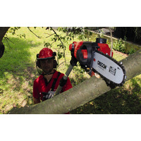 Einhell 3410810 GE-LC 18v Pole Pruner Naked 