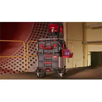 Milwaukee 4932493379 Packout Wire Basket & 4932498648 Packout Side Mount Mounting Plate