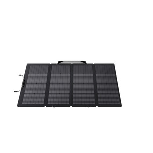 EcoFlow 291888 220W Portable Solar Panel SOLAR220W